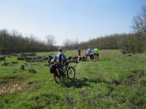 IMG_2110.JPG