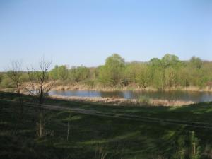 IMG_2176.JPG