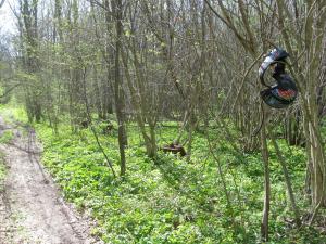 IMG_2083.JPG