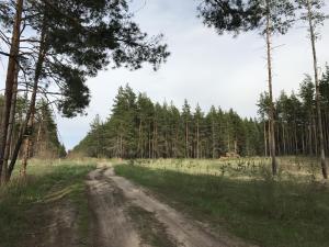 IMG_6820.JPG