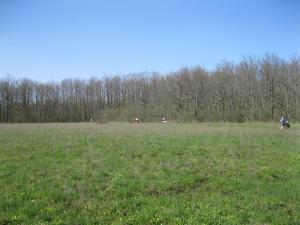 IMG_2111.JPG