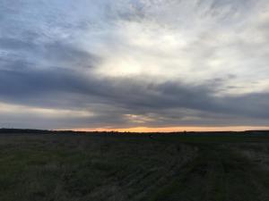 IMG_6851.JPG