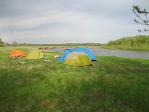 IMG_2353.JPG