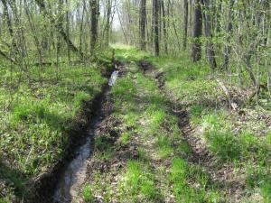 IMG_2106.JPG