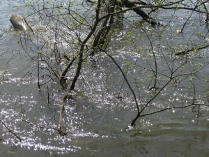 IMG_2041.JPG
