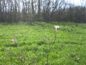 IMG_2114.JPG