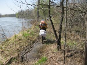 IMG_2038.JPG