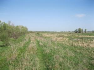 IMG_2203.JPG