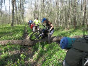 IMG_2123.JPG