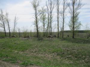 IMG_2304.JPG