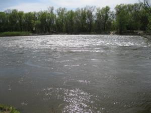 IMG_2325.JPG