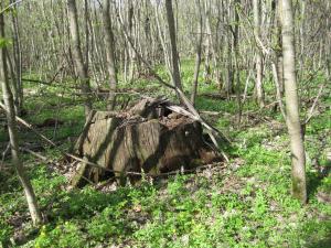 IMG_2099.JPG
