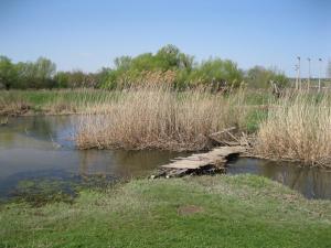IMG_2211.JPG