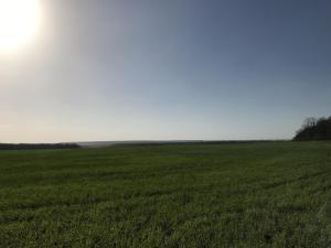 IMG_6771.JPG