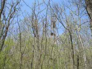 IMG_2064.JPG