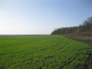 IMG_2136.JPG
