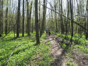 IMG_2086.JPG