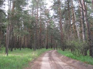IMG_2342.JPG
