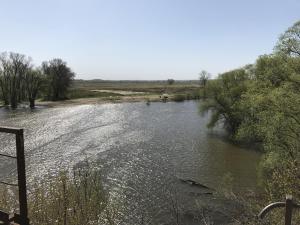 IMG_6739.JPG