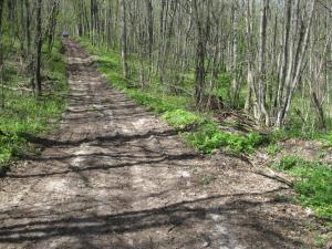 IMG_2068.JPG