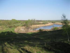 IMG_2175.JPG