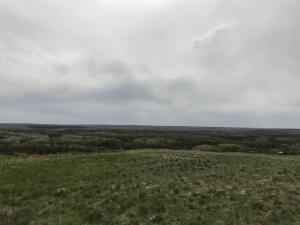 IMG_6878.JPG