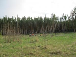 IMG_2347.JPG