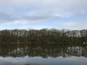 IMG_6862.JPG