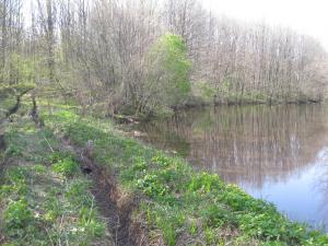 IMG_2119.JPG