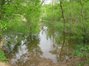 IMG_4532.JPG