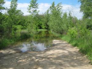 IMG_4539.JPG