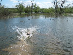 IMG_4547.JPG