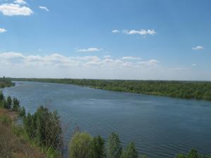 IMG_4507.JPG