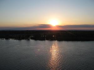 IMG_4594.JPG