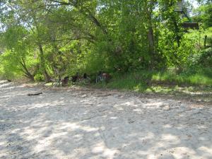 IMG_4622.JPG