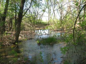 IMG_4479.JPG
