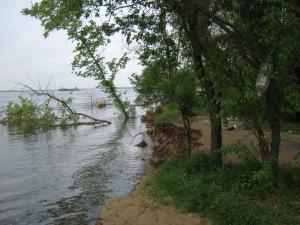 IMG_4530.JPG