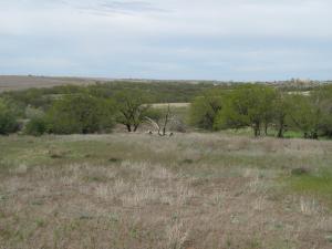 IMG_4455.JPG