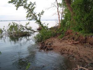 IMG_4679.JPG