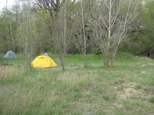 IMG_4437.JPG