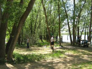 IMG_4516.JPG