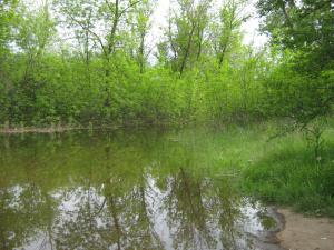 IMG_4533.JPG