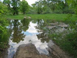 IMG_4537.JPG