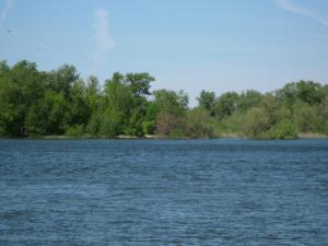 IMG_4513.JPG