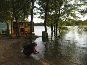 IMG_4591.JPG
