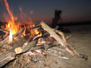 IMG_4686.JPG
