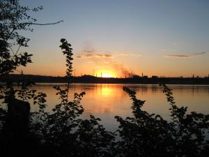 IMG_4501.JPG