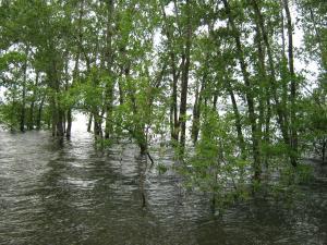 IMG_4639.JPG