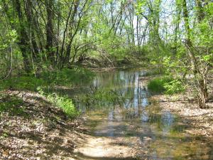 IMG_4477.JPG