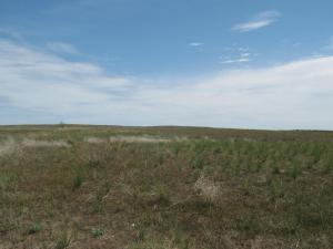 IMG_4456.JPG